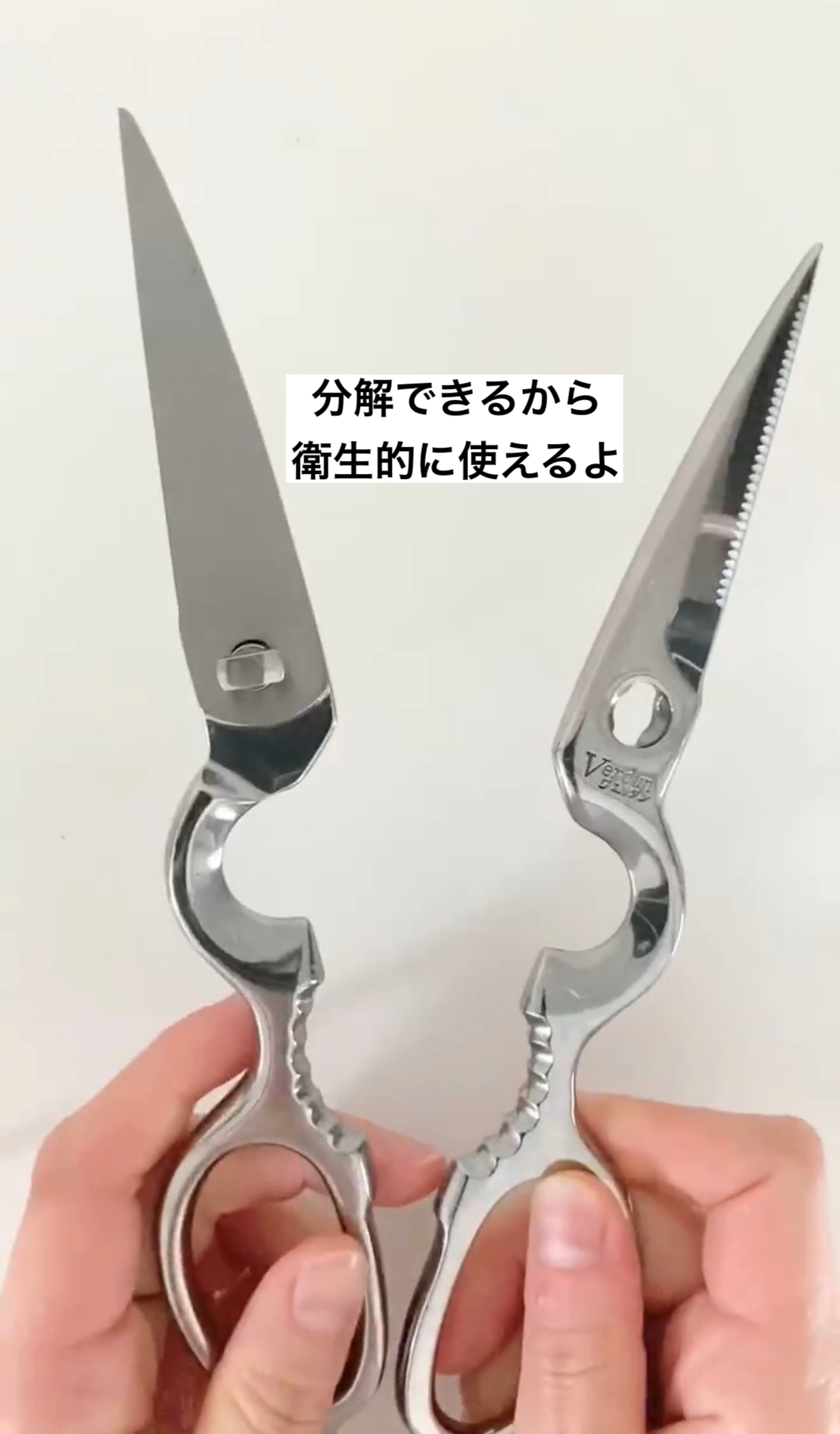 下村工業 ヴェルダン オールステン キッチンバサミ 4枚目
