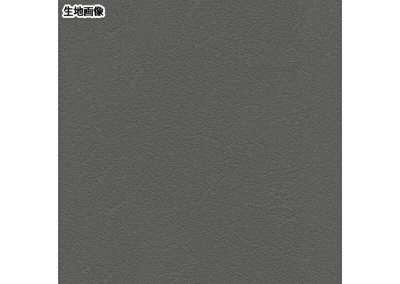 サンゲツ 【のり付き壁紙】サンゲツ/BB8243 2枚目