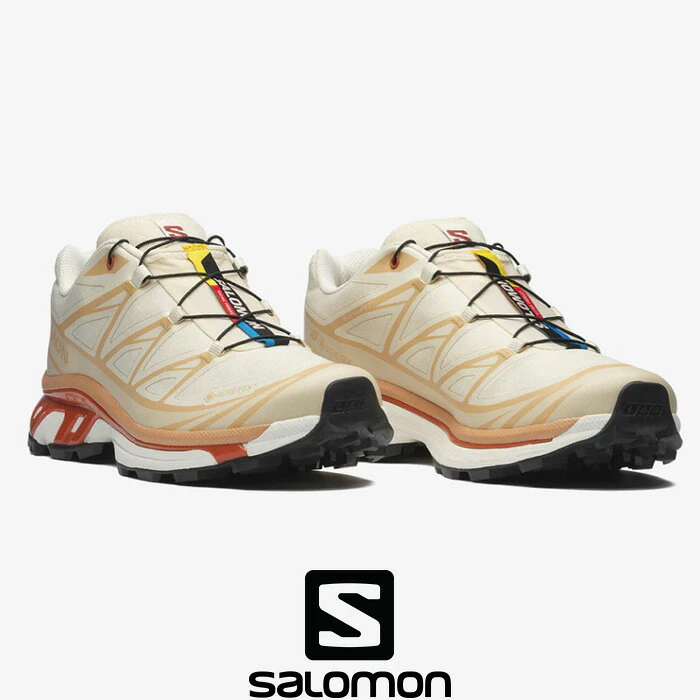SALOMON XT-6 GORE-TEX Almond Milk / Soft Clay / Burnt Ochre 1枚目