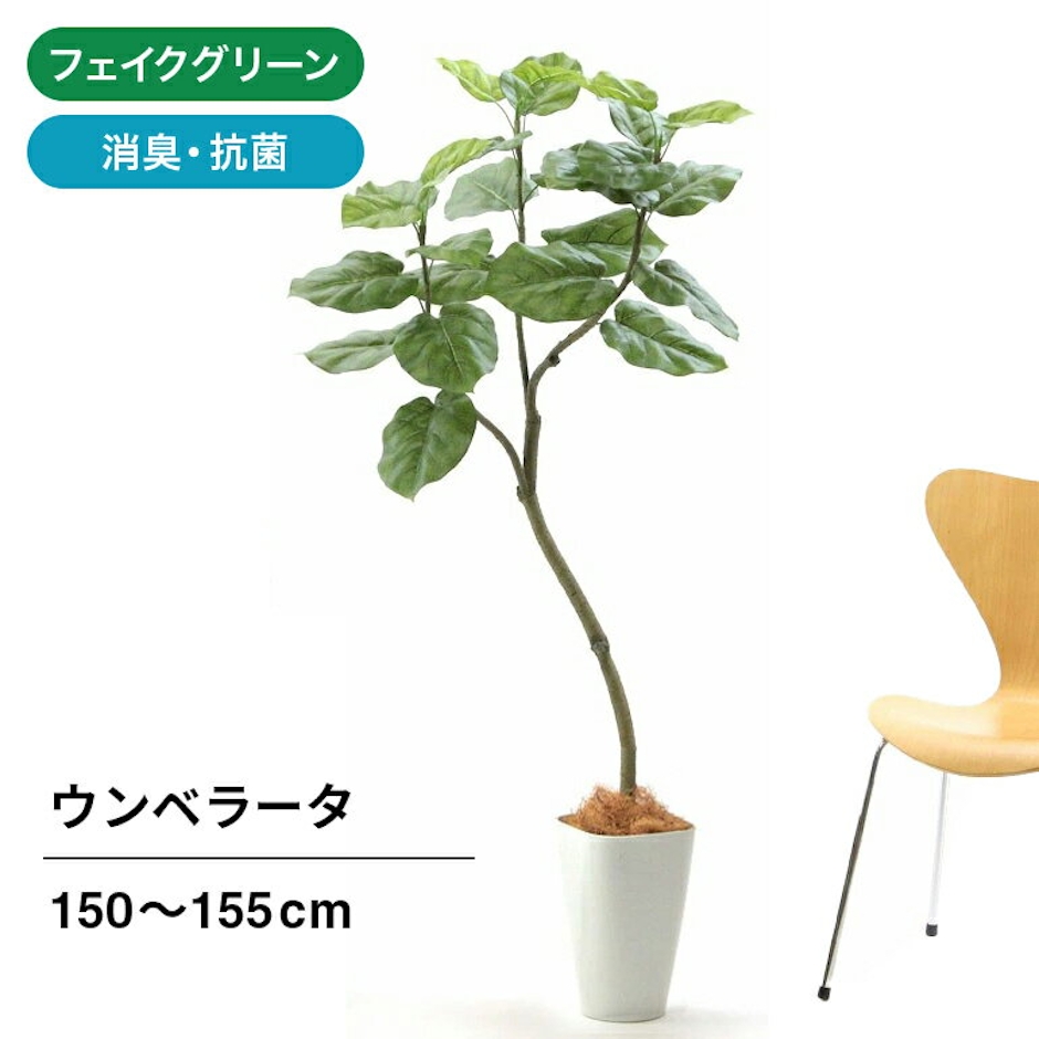 zoukacom フェイクグリーン 観葉植物 フェイク 人工観葉植物 大型 光触媒 造花 インテリア リアル おしゃれ お祝い 樹 木 室内 フィカス ウンベラータ 人気 空気清浄 玄関 リビング オフィス 部屋 シンプル 抗菌 消臭 観葉樹 150cn 【日付指定・ギフト不可】No92661 1枚目