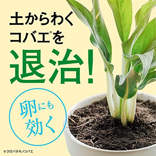BotaNice 植物の虫・病気対策 殺菌殺虫スプレー  4枚目