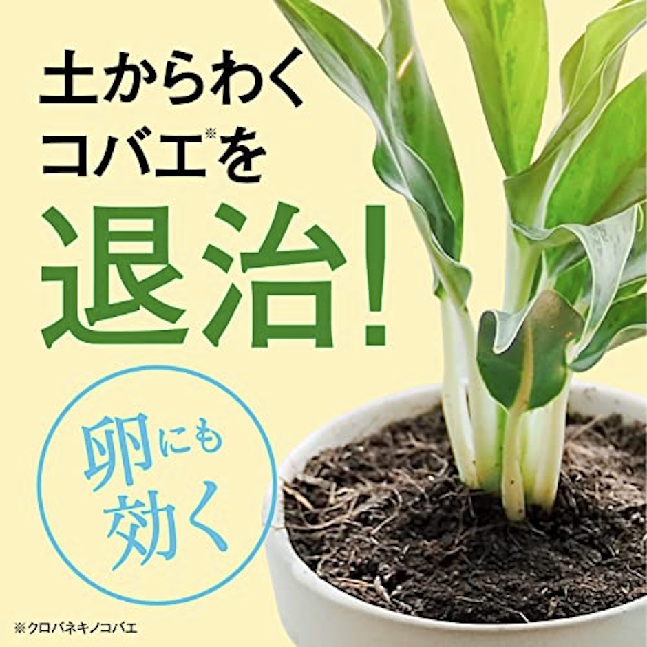 BotaNice 植物の虫・病気対策 殺菌殺虫スプレー 4枚目