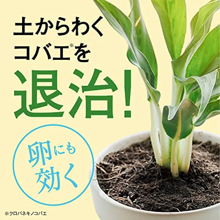 BotaNice 植物の虫・病気対策 殺菌殺虫スプレー 4枚目