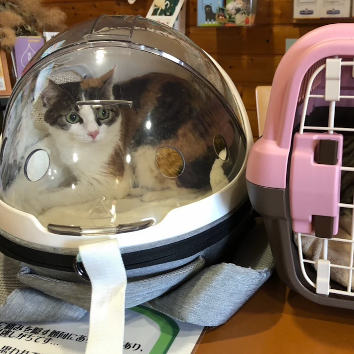 カッキガッキ 宇宙船カプセルリュック 5枚目