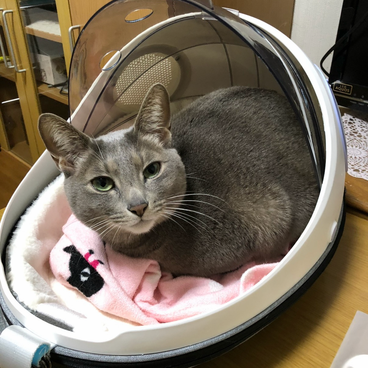 カッキガッキ 宇宙船カプセルリュック 4枚目