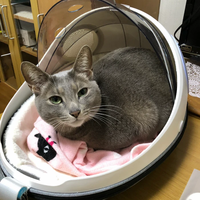 カッキガッキ 宇宙船カプセルリュック 4枚目