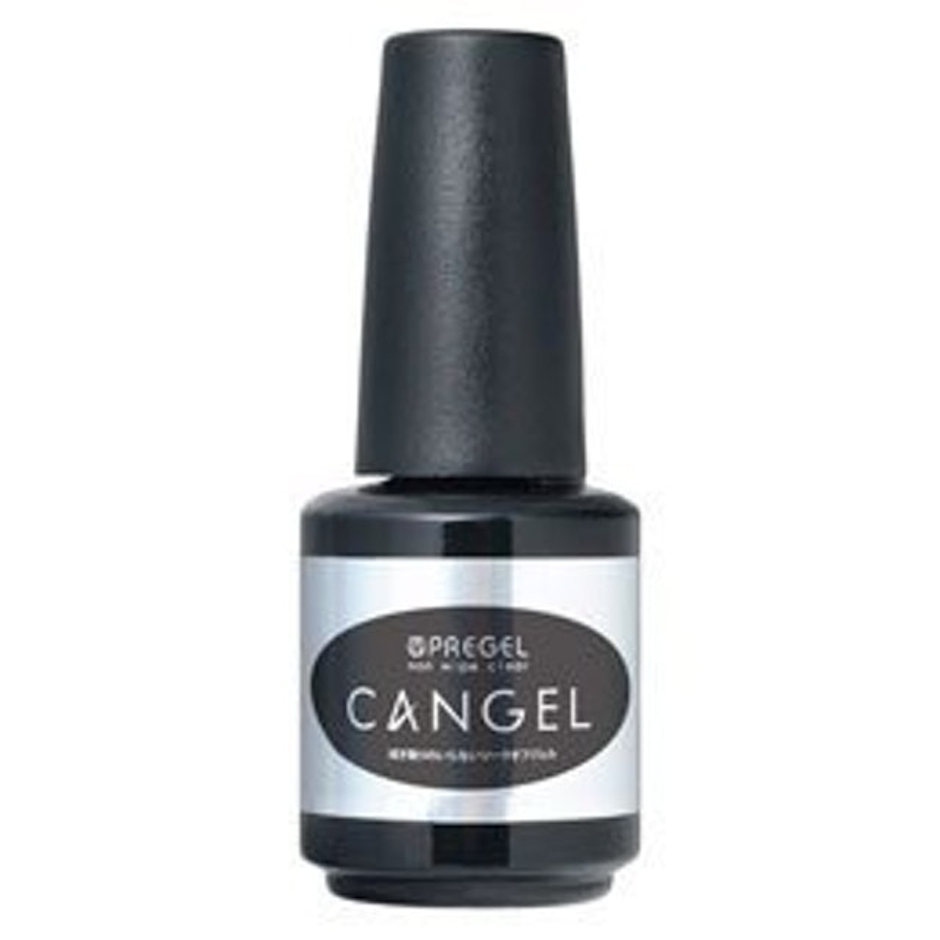 PRE GEL ノンワイプクリア キャンジェル 14g PG-CAN-14 3枚目
