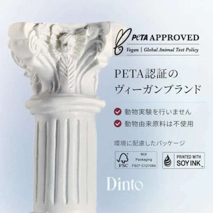 Dinto ブラーグロイリップティント 210 11枚目