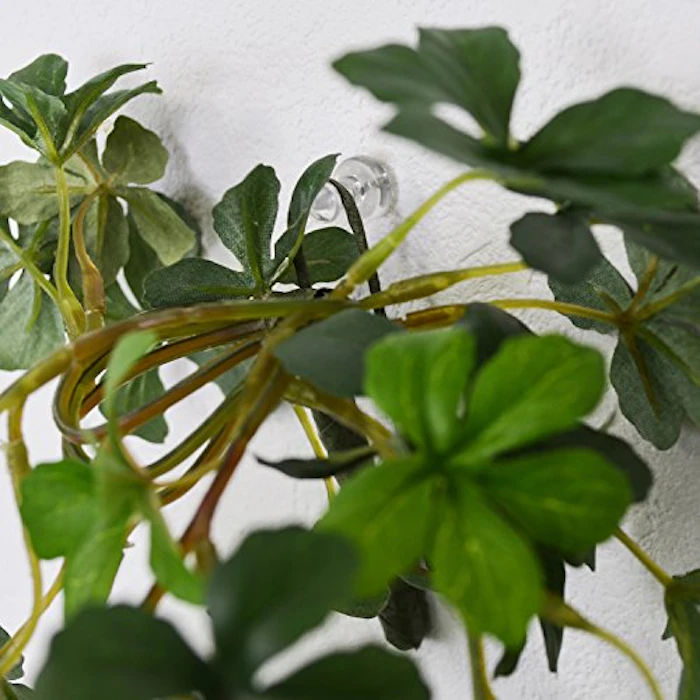プリマ シュガーバイン 取付ワイヤー付き 観葉植物 フェイクグリーン 4枚目