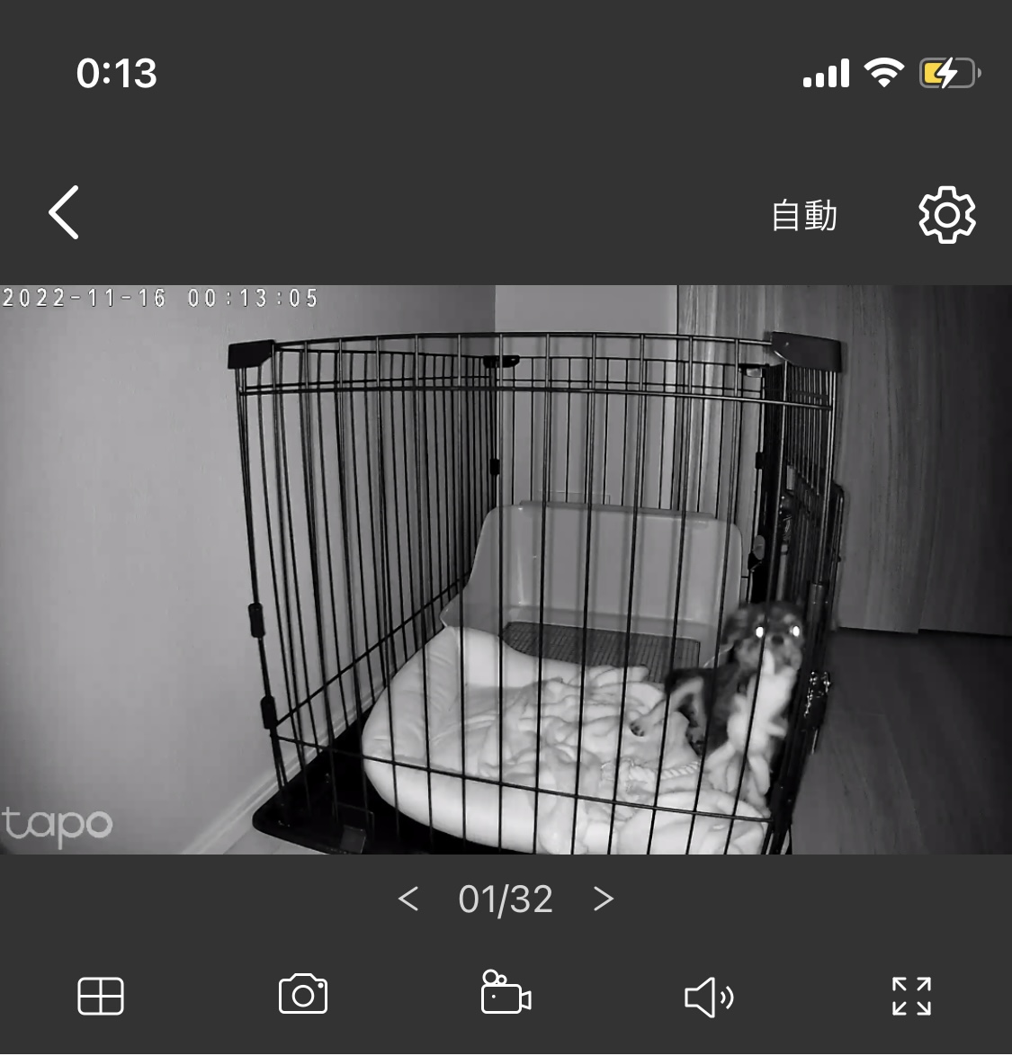 TP-Link パンチルト ネットワークWi-Fiカメラ 2枚目
