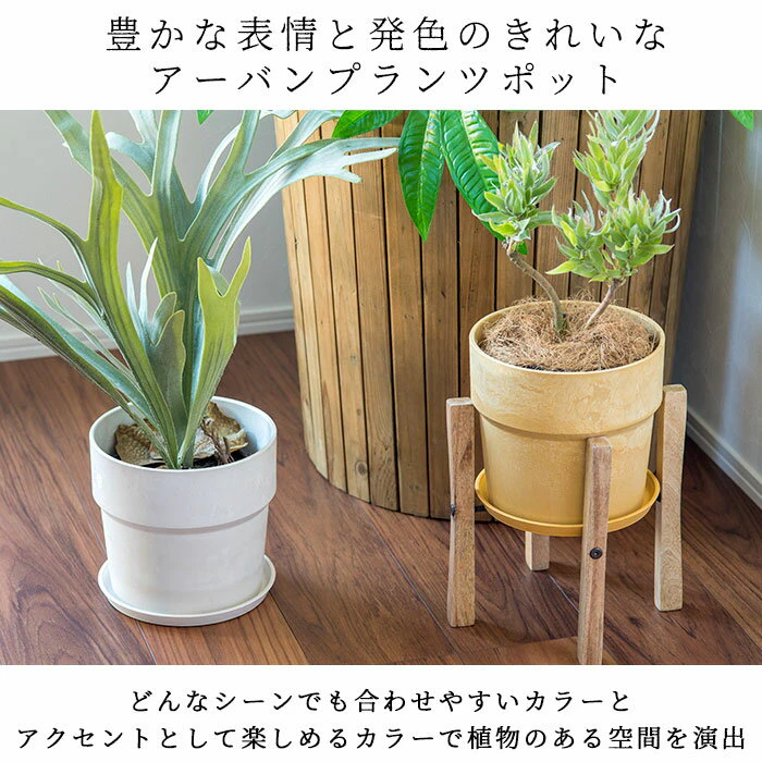 植木鉢 プラスチック 4号 3枚目