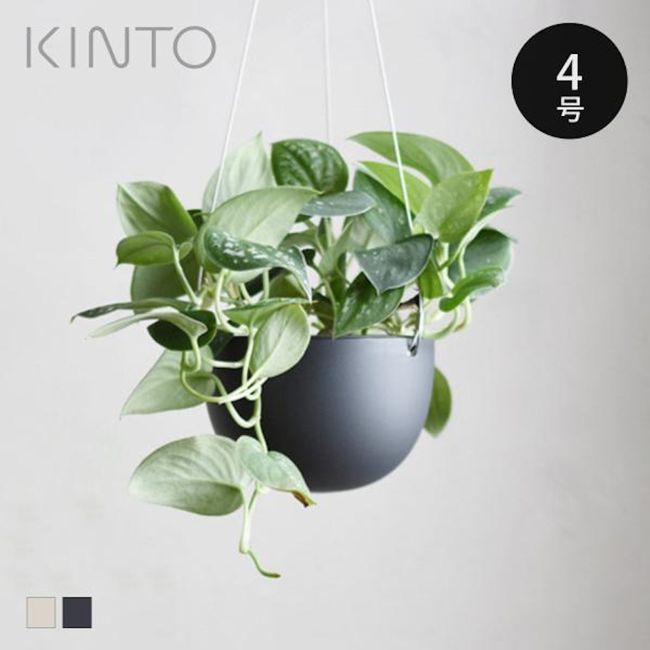 KINTO プラントポット 201_ 140mm 2枚目