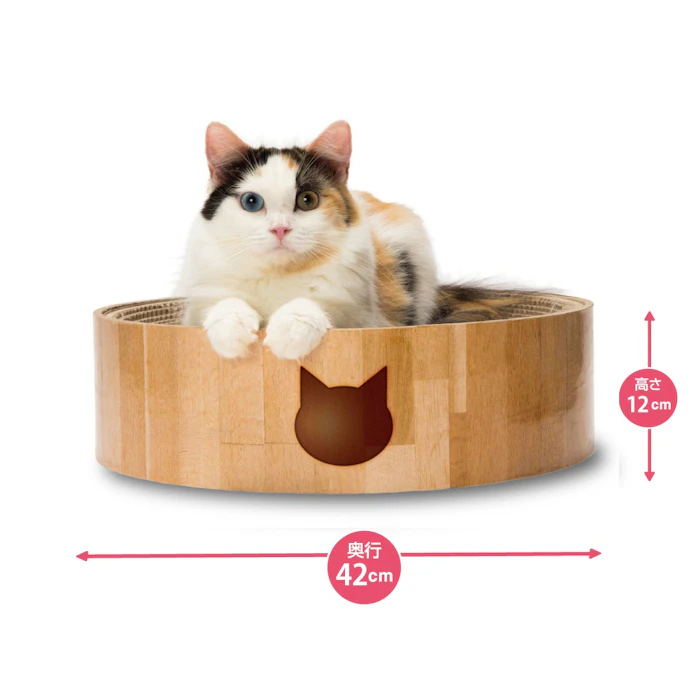 猫壱 バリバリボウル 3枚目