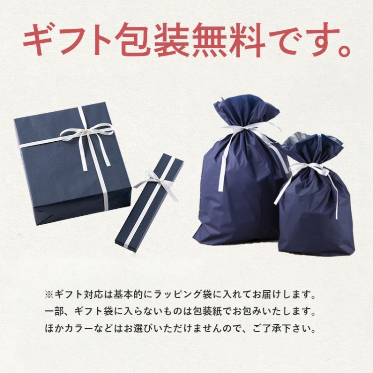 【スーパーSALE期間中10%OFF＋クーポン】 【メール便】[M便 1/1] 【口内ケア】ケアレッシュ 舌クリーナー（黒） KQ0401 ギフト 贈り物 プレゼント 3枚目