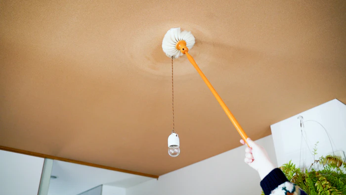 Redecker/レデッカー Dust Brush For the ceiling 60cm(天井用) 4枚目