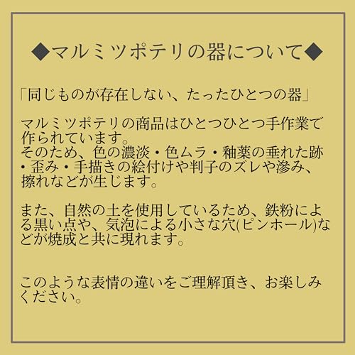 STUDIO M' アーリーバード ツバメ オーバル プレートM 8枚目