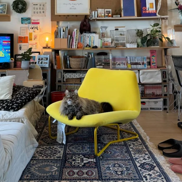 IKEA ソテネス イエロー 1枚目