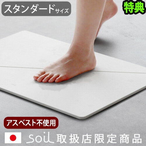 soil  珪藻土バスマット ソイル gem 日本製バスマット リバーシブル [スタンダードサイズ]両面 アスベスト不使用 3枚目