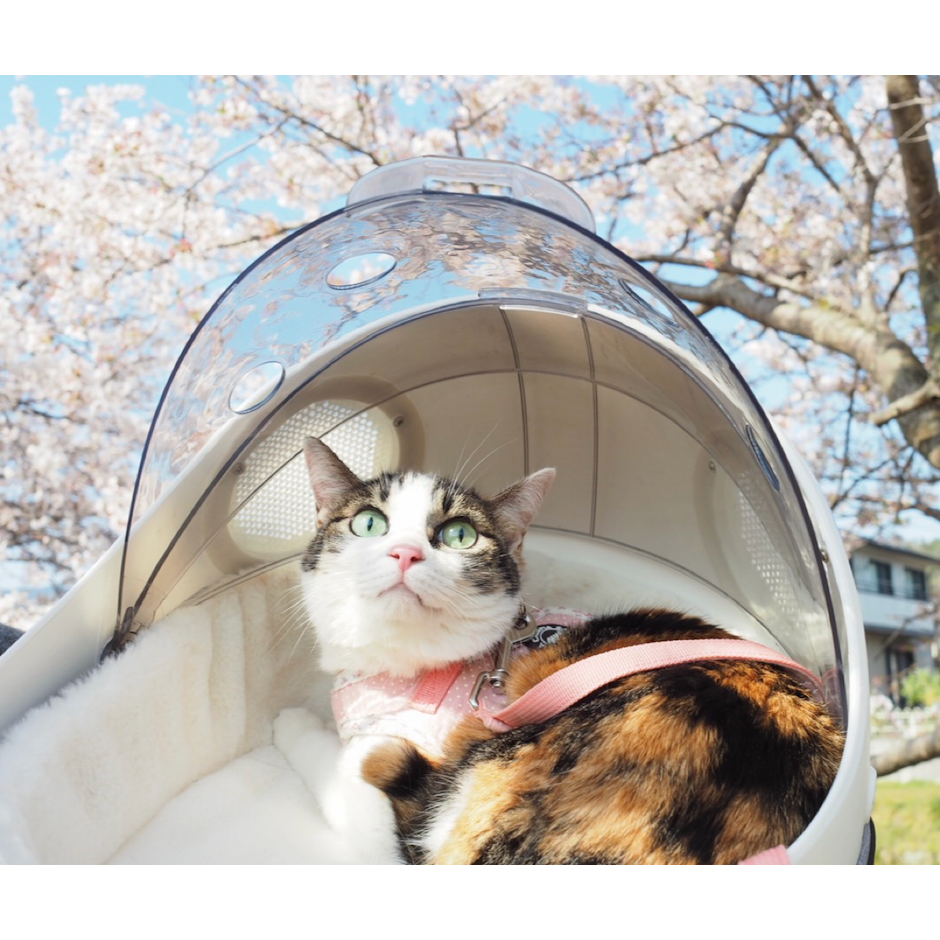 カッキガッキ 宇宙船カプセルリュック 6枚目