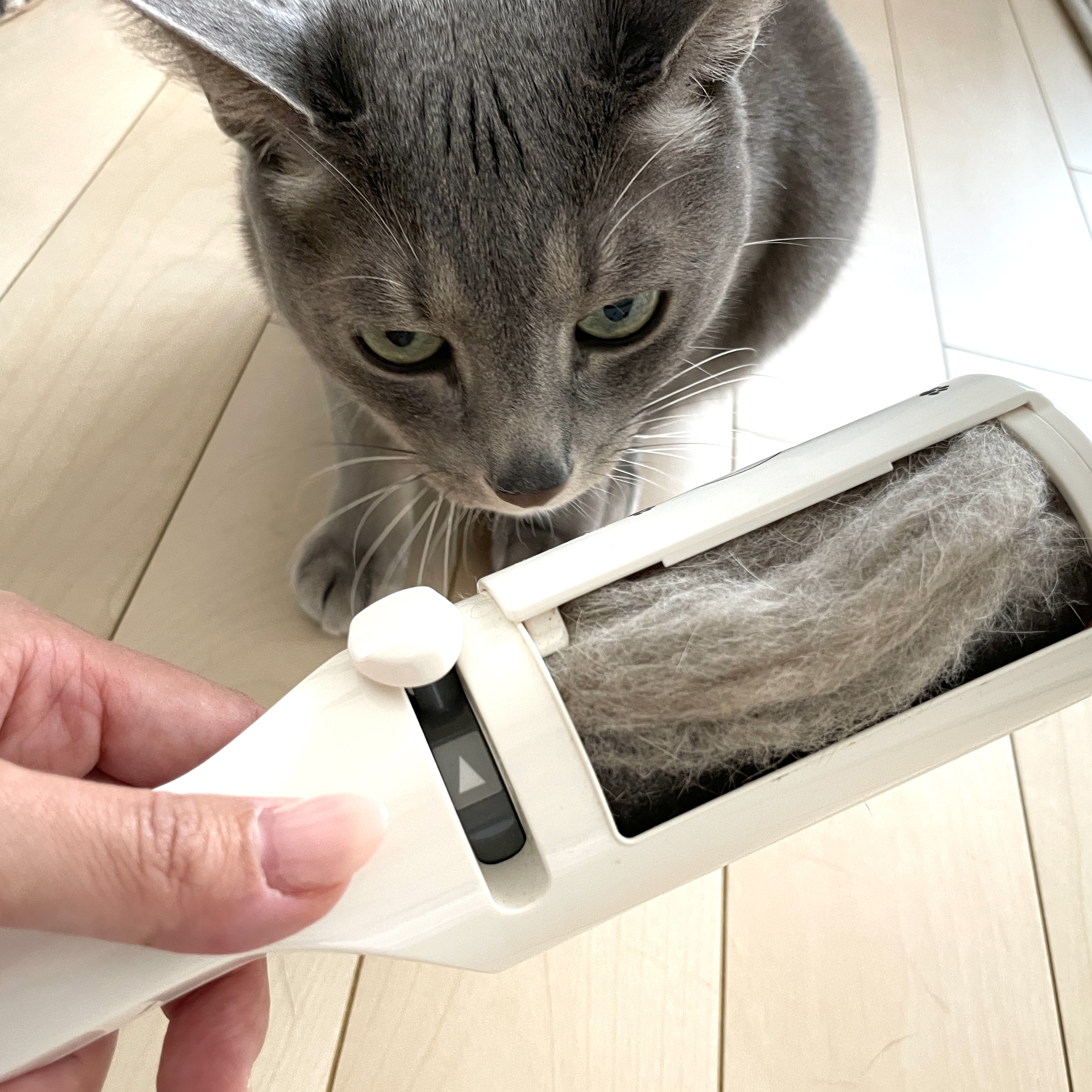 猫壱 猫壱 抜け毛取りワイパー 2枚目