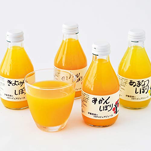 伊藤農園 お試し みかんジュース オレンジジュース みかんしぼり 無添加 ストレート 100％ 180ml 8本 有田みかん 国産 和歌山産 1枚目