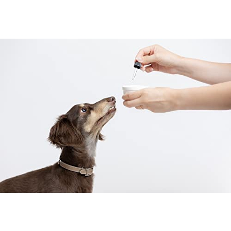 JustRelax 【獣医師監修】JustRelax 「DOG CBD」 オイル 10ml CBD含有量 300mg 犬用 CBDオイル MCTオイル配合 ペットサプリメント オーガニック 日本製 2枚目