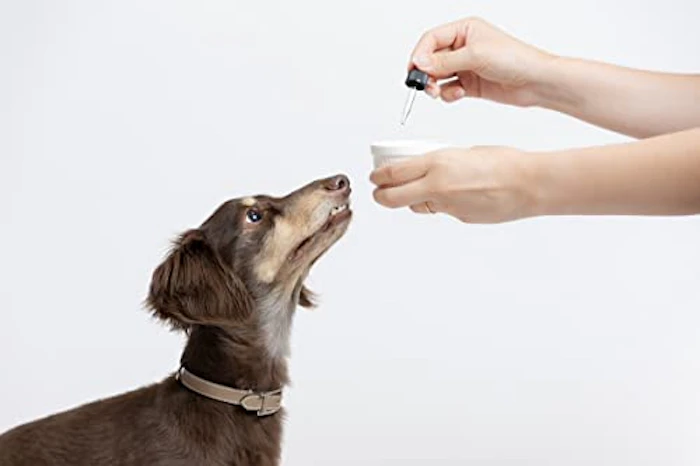 JustRelax 【獣医師監修】JustRelax 「DOG CBD」 オイル 10ml CBD含有量 300mg 犬用 CBDオイル MCTオイル配合 ペットサプリメント オーガニック 日本製 2枚目