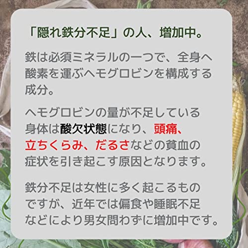 健康応援団 鉄 1ヵ月分 サプリメント 葉酸プラス 1袋 30粒 鉄分 Fe ビタミンB群 B2 B6 B12 3枚目