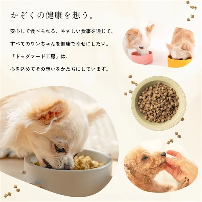 ペットフード工房 選べる超小袋5袋セット1.5㎏(小粒300g) 3枚目