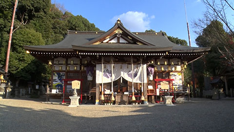 恩智神社 1枚目