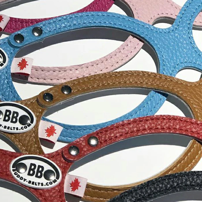 BUDDY BELTES バディーベルト 獣医師推奨 BBハーネス バディーベルト 3.5号 ペット 犬 レザー 本革 用 BUDDY BELT BUDDYBELT犬 犬用 ペット ドッグ バディベルト正規輸入代理店 正規店 2枚目