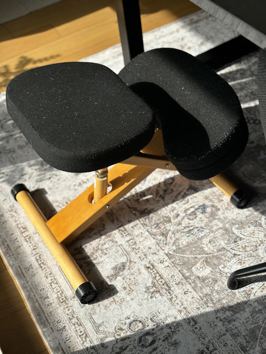 宮武製作所 プロポーションチェア 洗える取外しカバー付き 幅49.5×奥行61-68×高さ43-64cm 木材 姿勢サポートブラック 1枚目