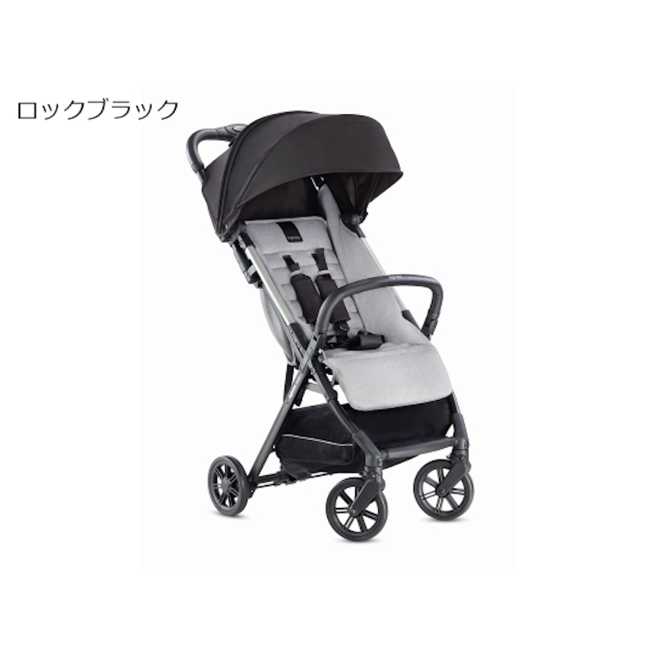 イングリッシーナ クイッド 3枚目