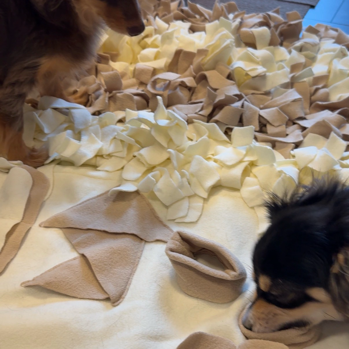 リノフリート ノーズワーク マット Mサイズ 犬 おもちゃ ペット 知育玩具 ペット用品 おやつ隠し 嗅覚訓練 小型犬 エサ 餌 ペットフード 運動不足 ストレス解消 集中力 早食い防止 毛布 知育マット 訓練マット 訓練毛布 送料無料 3枚目