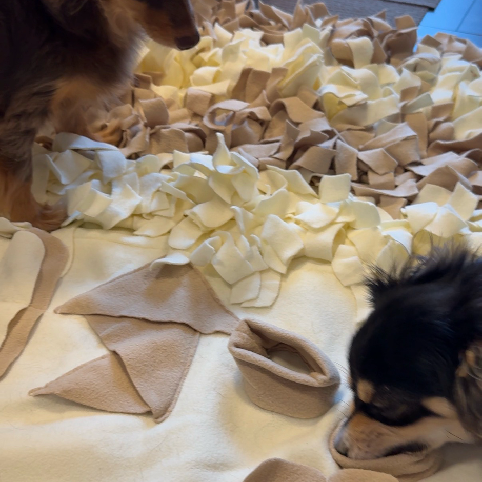 リノフリート ノーズワーク マット Mサイズ 犬 おもちゃ ペット 知育玩具 ペット用品 おやつ隠し 嗅覚訓練 小型犬 エサ 餌 ペットフード 運動不足 ストレス解消 集中力 早食い防止 毛布 知育マット 訓練マット 訓練毛布 送料無料 3枚目