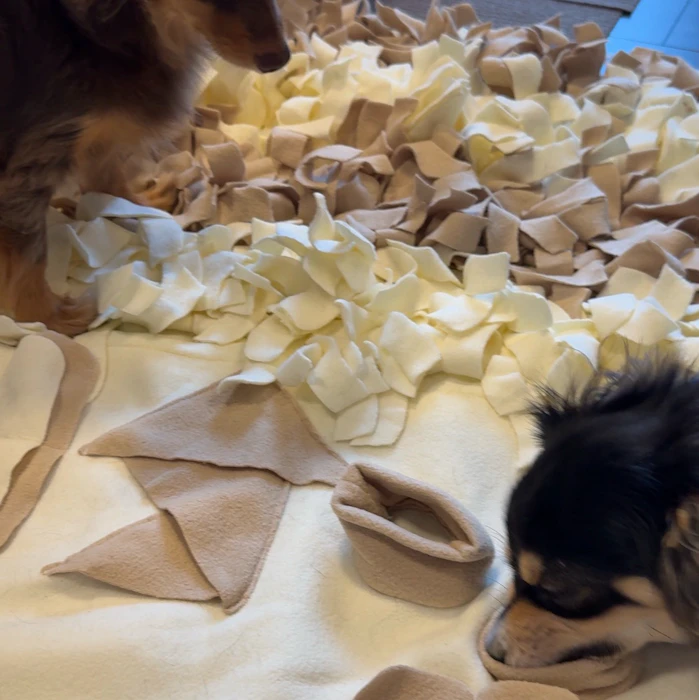リノフリート ノーズワーク マット Mサイズ 犬 おもちゃ ペット 知育玩具 ペット用品 おやつ隠し 嗅覚訓練 小型犬 エサ 餌 ペットフード 運動不足 ストレス解消 集中力 早食い防止 毛布 知育マット 訓練マット 訓練毛布 送料無料 3枚目