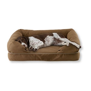 L.L.Bean ドッグベッド・カウチ 1枚目