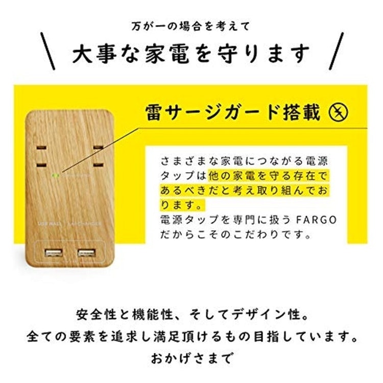 ファーゴ USB WALL ベージュウッド PT221BEWD 3枚目