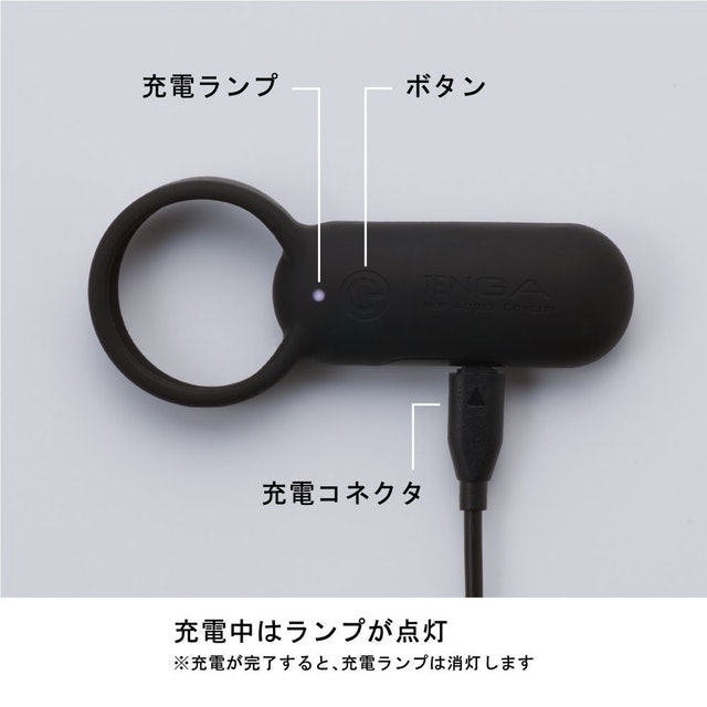 典雅 TENGA SVR  2枚目