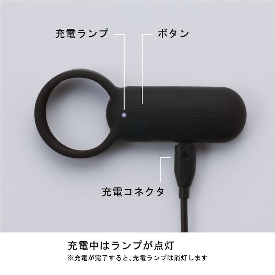 典雅 TENGA SVR 2枚目