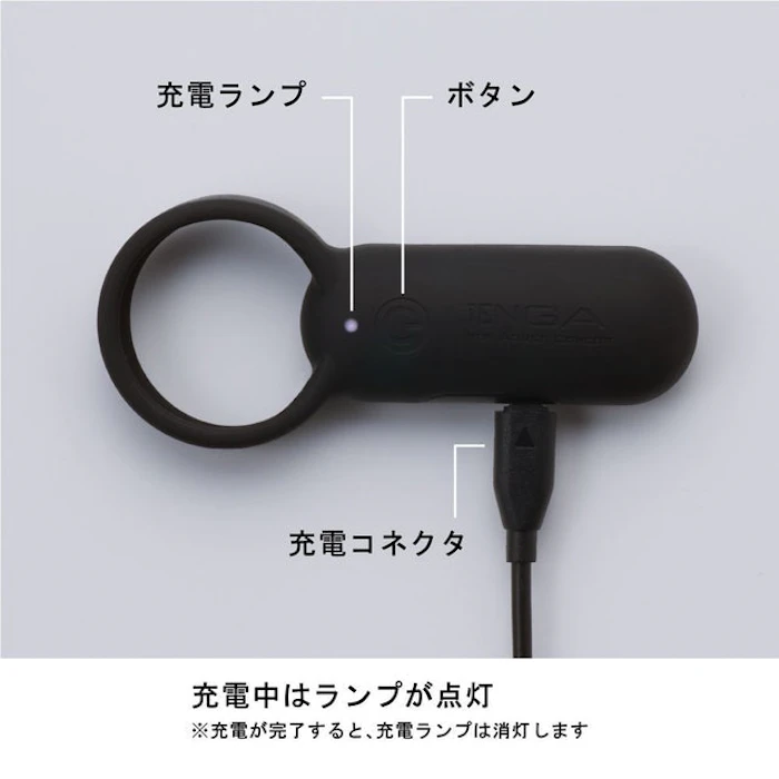 典雅 TENGA SVR 2枚目