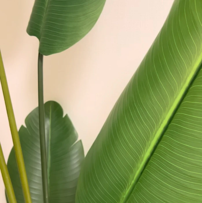 IKEA FEJKA フェイカ 人工観葉植物 ゴクラクチョウカ 3枚目
