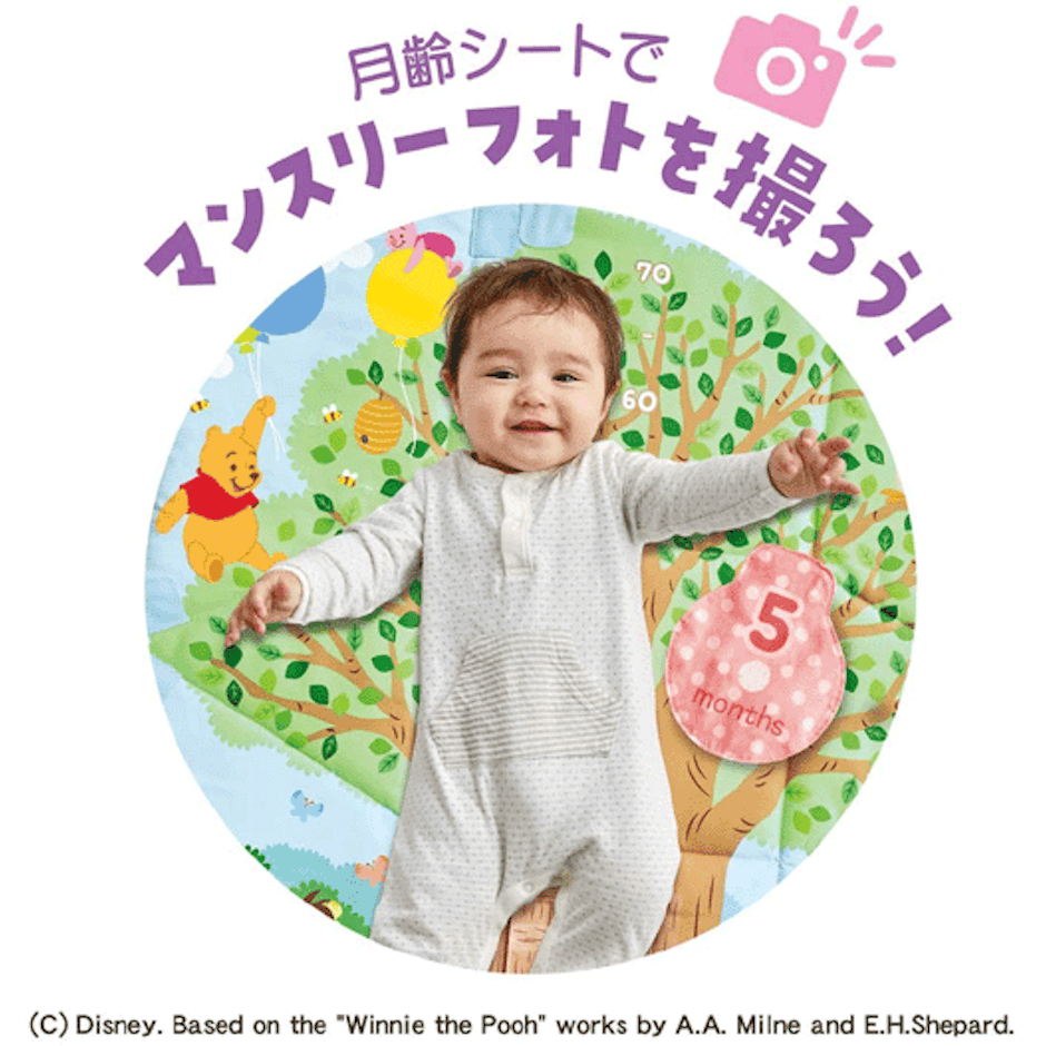 タカラトミー ディズニー てあそびいっぱい! おうちにへんしんジム 3枚目