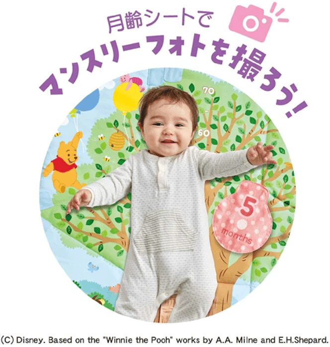 タカラトミー ディズニー てあそびいっぱい! おうちにへんしんジム 3枚目