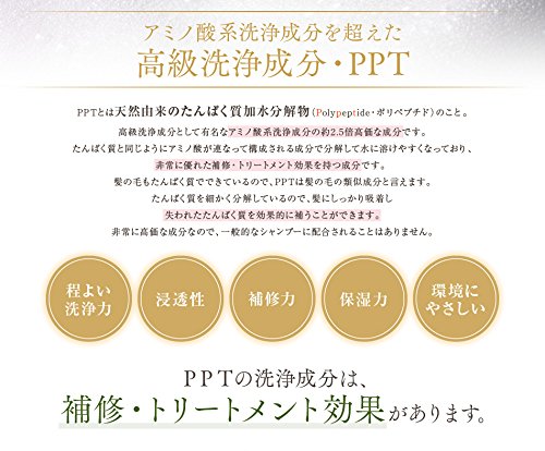 PPTコラーゲン＆シルクシャンプー400ml 脂性肌～普通肌用(ふんわり) 3枚目
