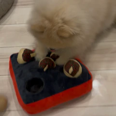 ペティオ(Petio) ペティオ (Petio) 犬用おもちゃ ノーズワーク ほじって遊ぶ! アツアツたこ焼き 1枚目