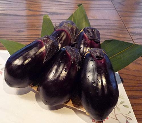 JA大阪泉州 泉州水なす 1枚目