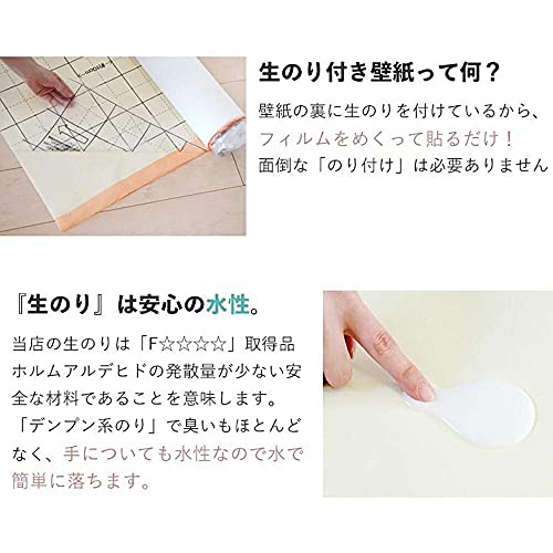 サンゲツ 壁紙屋本舗 壁紙 生のり付き 10ｍ 替刃付き SP-9719 ベージュ 織物調 4枚目