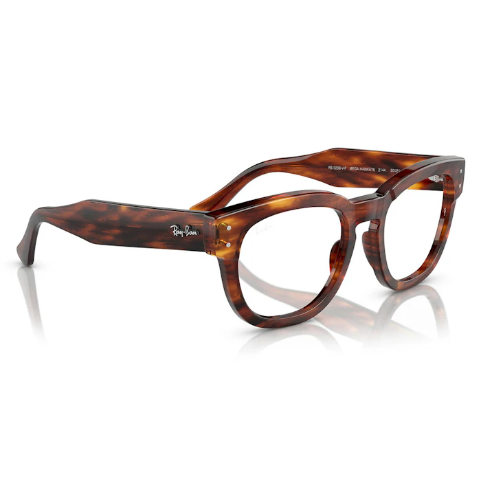 Ray-Ban MEGA HAWKEYE RX0298 2144 2枚目