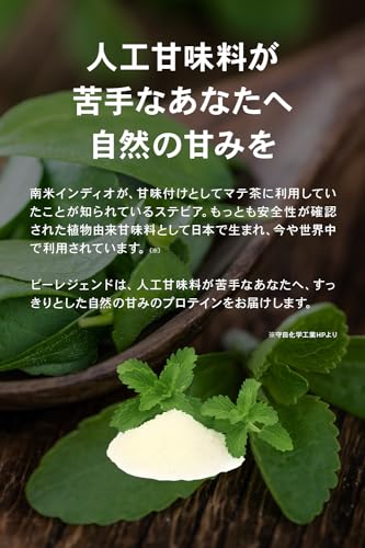 ビーレジェンド ホエイ プロテイン BE MY ベリー風味 人工甘味料不使用 植物由来甘味料 ステビア使用 ベリー ミックスベリー WPC ビタミン 国内製造 1kg 3枚目
